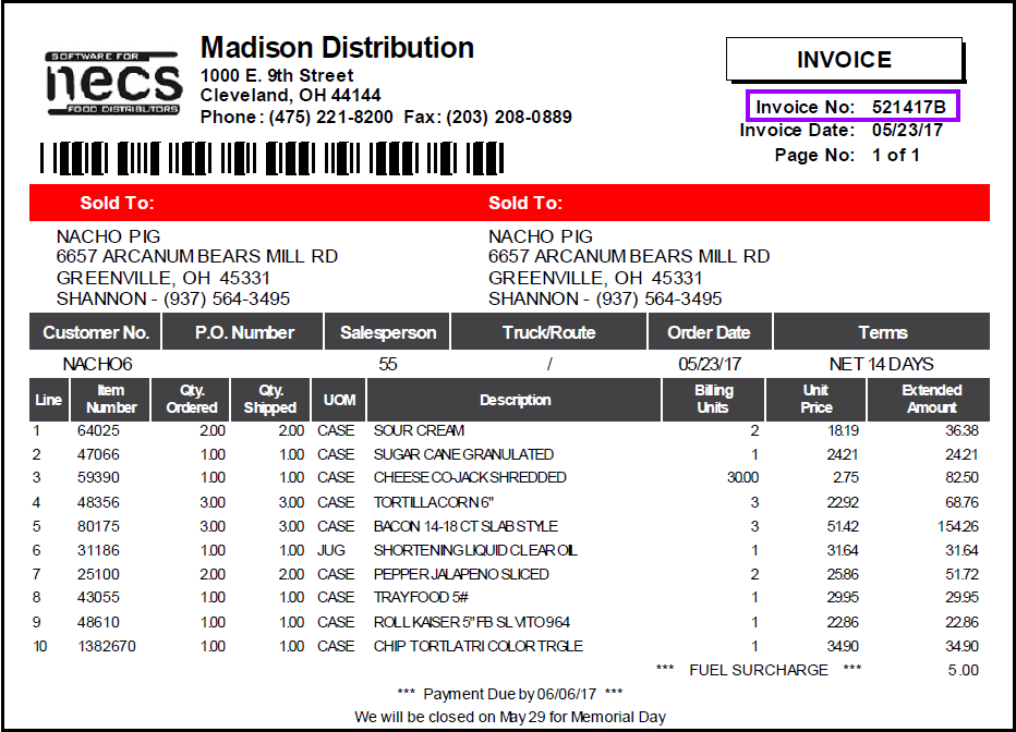 Nacho-Invoice-example