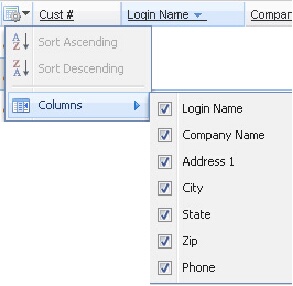 Sales-CustomerGridColumnsMenu